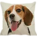 Pet šhop
