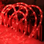 Stvorite pravu malu bajku u vašem vrtu sa ovim solarnim svetlećim crevom. Njegove crvene lampice unutar creva pružaju jedinstven i moderan izgled, pretvarajući svako veče u čaroban doživljaj. Bilo da želite da stvorite romantičan ambijent ili moćnu novogodišnju dekoraciju, ovo svetleće crevo je savršen način da dodate notu magije vašem spoljnom prostoru