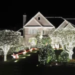 Idealno rešenje za velike projekte i profesionalnu dekoraciju ovaj neprekidni niz od 200 metara belih sijalica eliminiše potrebu za spajanjem više manjih nizova i omogućava vam laku i brzu instalaciju na fasadi krovu ili oko celog dvorišta a poseduje i više različitih modova rada.